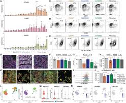 Selain menggunakan tabel a2, discount factor (df) dapat dihitung dengan cara sebagai berikut: Ppardelta Signaling Activation Improves Metabolic And Contractile Maturation Of Human Pluripotent Stem Cell Derived Cardiomyocytes Biorxiv