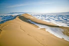Trip To Gobi Desert Mangolia Deserts Of The World Desert Life Nature Adventure