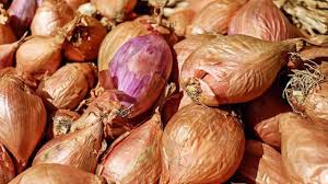 Molto apprezzati per le loro molteplici proprietà, la vendita di aglio, scalogno e cipolla è altresì in costante crescita. Scalogno Coltivazione Idee Green
