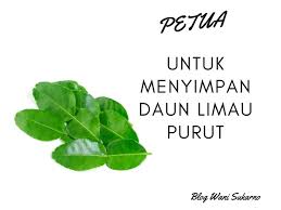 Please subscribe,like.thank you for your support limau nipis mengandungi vitamin c, 'potassium' dan 'asid folat'. Petua Mudah Untuk Menyimpan Daun Limau Purut