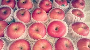 We did not find results for: Buah Apel Fuji Premium 1 Kg Pasar Segar