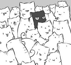 Ultra Animefreak Cat Art Cat Drawing Cute Drawings