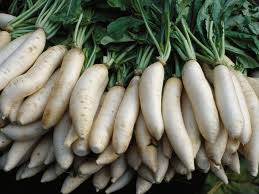 Our radish kimchi pairs daikon with a little radish and. What Is Daikon Radish And How Is It Used