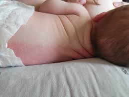 Image result for Harlequin Color Change