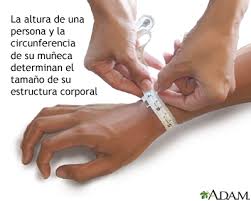 We did not find results for: Calculo Del Tamano De La Estructura Corporal Medlineplus Enciclopedia Medica Illustracion