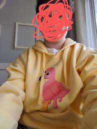 Albertsstuff + flamingo hoodie boys girls kids 3d printed unisex sweatshirts long sleeve. Just Got Flamingo Merch Flamingofanclub