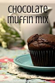 Chocolate Muffin Mix Recipe Recipe Muffin Mix Recipe Easy Chocolate Muffins Chocolate Muffin Recipe
