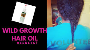 I can't wait to see what 6 months to a year will look like. Wild Growth Hair Oil Results Youtube
