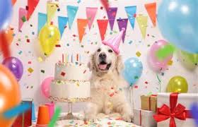 ¡dímelo!¡bienvenido al canal del debate! Cuando Se Celebra El Dia Mundial Del Perro