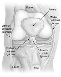 A partially or completely torn acl is a common injury among athletes. What To Expect After Your Acl Surgery Acl Tear Recovery Blog