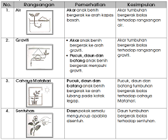 Dari proses reproduksi yang terjadi secara s3ksual dan as3ksual ini akan terjadi pergiliran keturunan antara fase gametofit. Nota Proses Hidup Tumbuhan Tahun 4