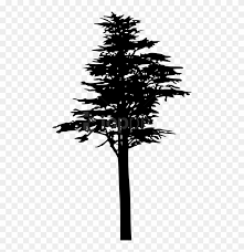 Best trees to plant near a house. Free Png Pine Tree Silhouette Png Siluet Sosny Png Clipart 1667029 Pikpng