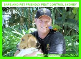 At times, termites are eating home structures for years before they are detected! Pest Spray Sydney Pest Control Sydney