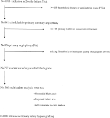 Angiographic Assessment of Myocardial Reperfusion in Patients Treated With  Primary Angioplasty for Acute Myocardial Infarction | Circulation