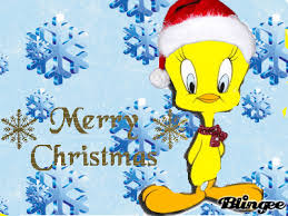 Bird Bird Bird Is The Word Gif Https Encrypted Tbn0 Gstatic Com Images Q Tbn 3aand9gcqhdcgwv18m5me984avwncdv9e Xm2l29bjeq Usqp Cau