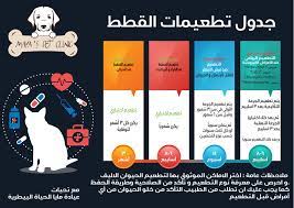 جدول وجبات القطط