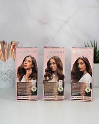 Image result for Schlechterina