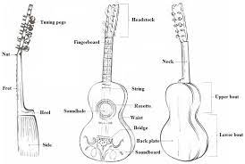 Veja mais ideias sobre viola caipira, caipira, luar do sertão. 3 Main Components Of The Viola Caipira Adapted From 34 Download Scientific Diagram