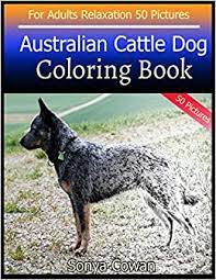 One of the more interesting designer dog breeds to surface in the last decade is the labrador retriever and blue heeler hybrid. Australian Cattle Dog Coloring Book For Adults Relaxation 50 Pictures Australian Cattle Dog Sketch Coloring Book Creativity And Mindfulness 9798648878976 Cowan Sonya Books Amazon Com