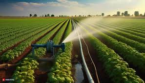 Farmers using InnovTech products