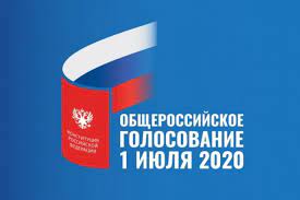 Почему голосование, а не референдум? Progolosovat Za Popravki V Konstituciyu V Habarovskom Krae Mozhno S 25 Iyunya Obshestvo Aif Habarovsk