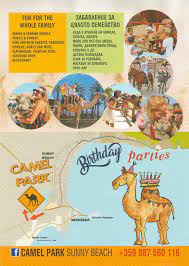 Camel park was the first camel centre in tenerife. Camel Park Sunny Beach Home Facebook