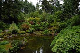 Pin On Japanese Gardens