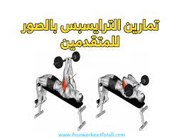 pin on تمارين الترايسبس بالصور