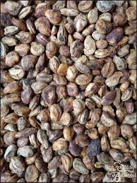 Image result for Kigelia africana