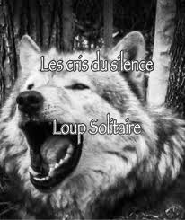 Slava, jeune mâle devenu alpha le film documentaire reconstitue l'histoire vraie racontée par kad merad d'un animal qui a parcouru 3 800 km depuis la. Les Cris Du Silence Loup Solitaire