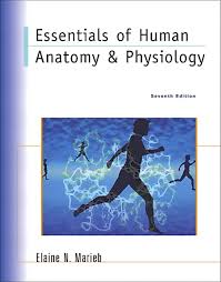 Anatomy & physiology coloring workbook : Marieb Essentials Of Human Anatomy Physiology Pearson