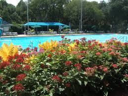 Maybe you would like to learn more about one of these? Highland Park Tx The Flowers Around The City Pool Are Wonderful And Very Colorful Photo Picture Image Texas At City Data Com