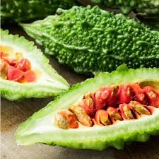 Image result for Momordica charantia