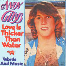 Pin On Andy Gibb