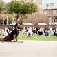 Lake Walk Wellness Festival