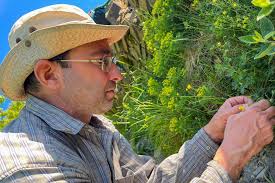 Gerhard Richter erklärt Field Writing