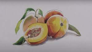 Как нарисовать спиртовыми маркерами бархатистые персики | Бесплатный урок  рисования от школы Художник Онлайн