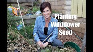 Sowing the wildflowers during the late autumn or early spring is recommended. How To Plant Wildflower Seed For Early Spring Flowers Youtube