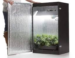 A light like this will cover a space of about 2.5'x2.5′ for flowering plants and will cover up to 3'x3′ for vegetative growth or leafy greens. Grow Cabinet And Grow Box Ideas How To Develop Plants Indoors