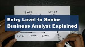 How Do I Know What Business Analyst Level I Am Junior Senior I Ii Iii Iv The Meta Business Analyst
