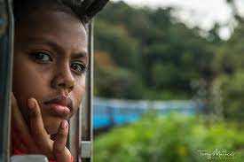 Terry Mathews Photography