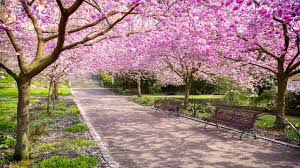 Why Spring Is the Most Positive Season | Guideposts