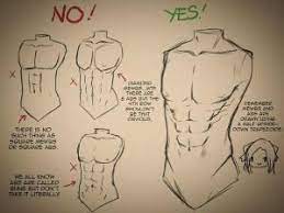 Upper body muscles labeled anatomy of upper torso diagram body muscles defenderauto info find the perfect anatomy female torso stock photo. Pin On Bodies