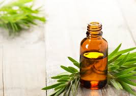 Pur ist es zu scharf und kann hautreizungen verursachen, (und wirkt auch nur oberflächlich) mit einem basisöl gemischt, ist es milder für die haut und kann auch besser aufgenommen werden. Teebaumol Ihre Apotheke Informiert