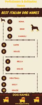 See more ideas about pet names, dog names, names. Italian Dog Names Beautiful Names For Your Dog Infographic Dog Names Italian Dogs Dog Infographic