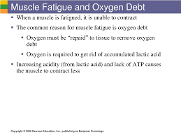 Ppt Energy For Muscle Contraction Powerpoint Presentation Free Download Id 3880857