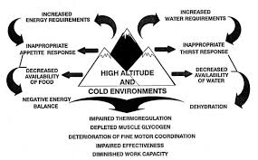 Princeton's wordnet(0.00 / 0 votes)rate this definition 3 Cold Weather And High Altitude Nutrition Overview Of The Issues Nutritional Needs In Cold And High Altitude Environments Applications For Military Personnel In Field Operations The National Academies Press