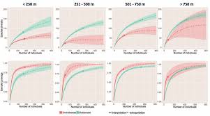 Image result for Tridactyle eggelingii