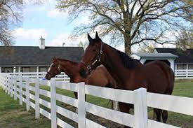 Idaho drivers who qualify can get local coverage designed for any car on the farm with idaho farm bureau car insurance. Virginia Farm Bureau Virginia Horse Festival