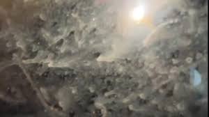 Collab with Alter Pinay from Twitter